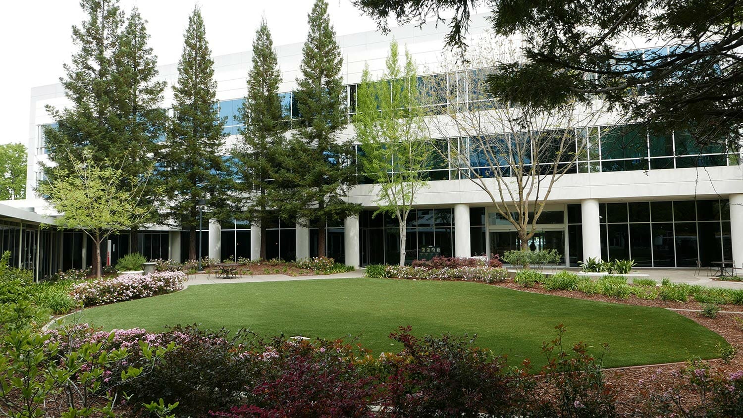 Commercial Artificial Turf Installation for Corporate Landscaping - Rancho Cordova, CA
